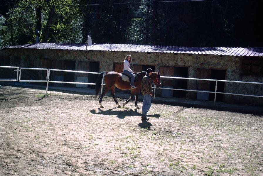pict0006