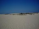 pict0073